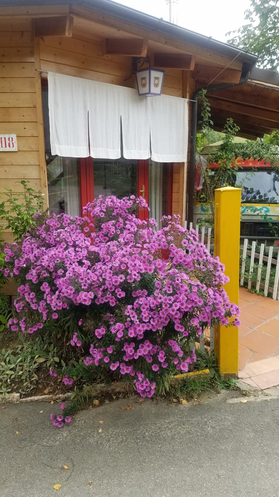 Bungalow zen con vista giardino