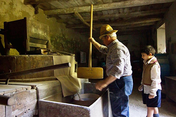 Museo dell'antico mulino delle Coveraie